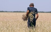 Lithuanian farmers lose sanctions war with Russia